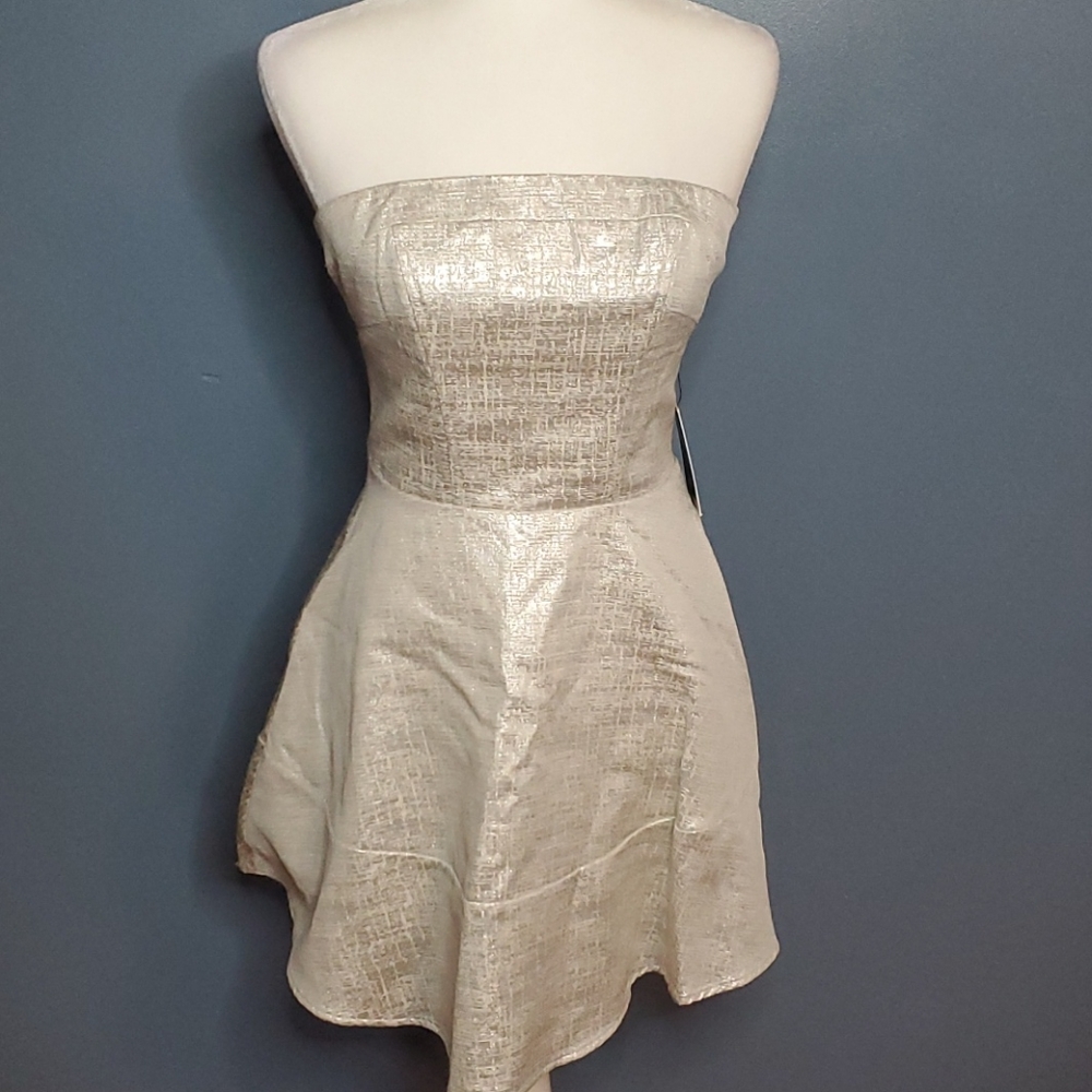 Express Shimmery Strapless Dress